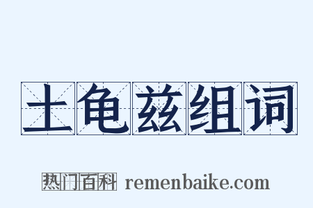 土龟兹组词是什么意思的图片